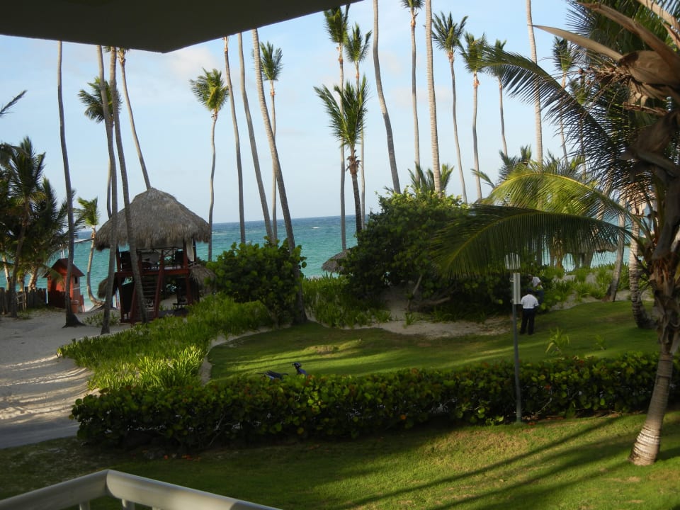 Blick vom Balkon Grand Palladium Select Bávaro Resort & Spa
