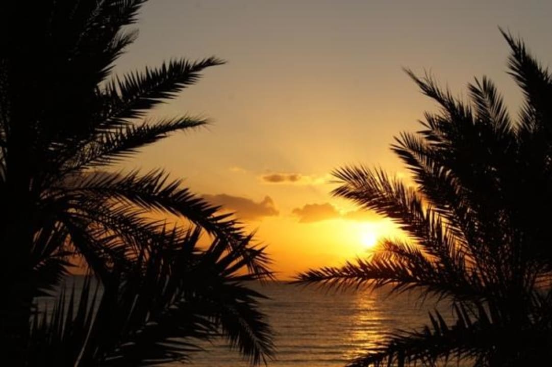 Wschód słońca Riadh Palms Resort & Spa