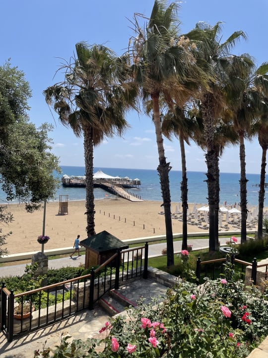Strand Arum Barut Collection