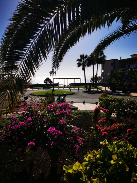 Gartenanlage Iberostar Waves Gaviotas Park