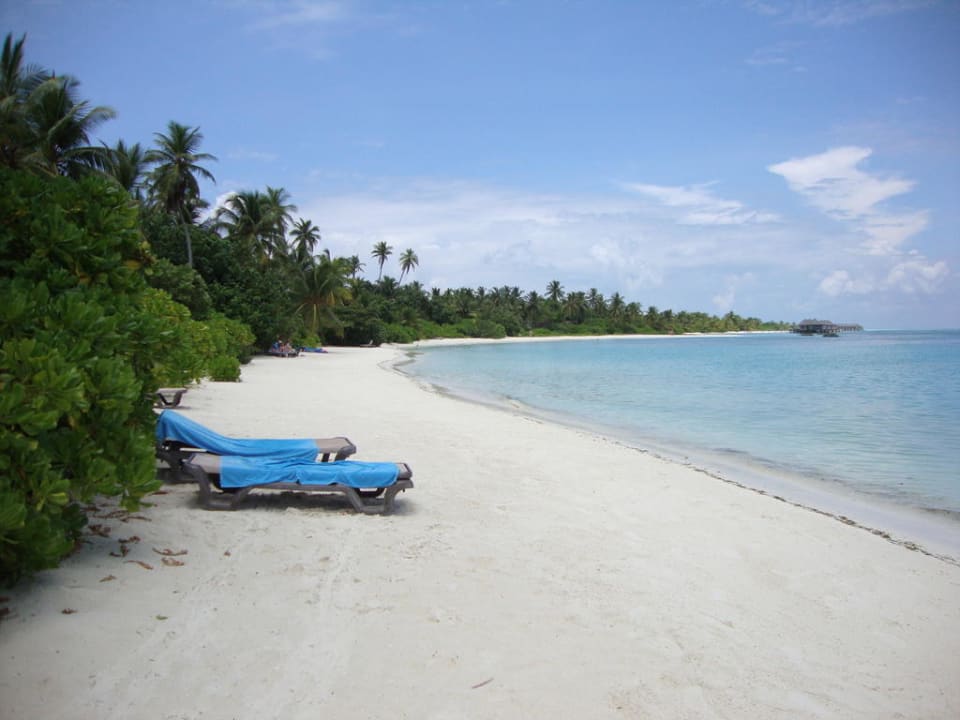 Strand vor den Beach Bungi´s Kuredu Island Resort & Spa