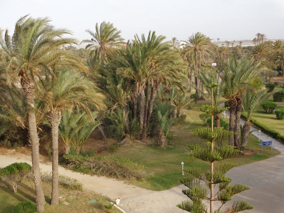 Unser Ausblick  Calimera One Resort Jockey