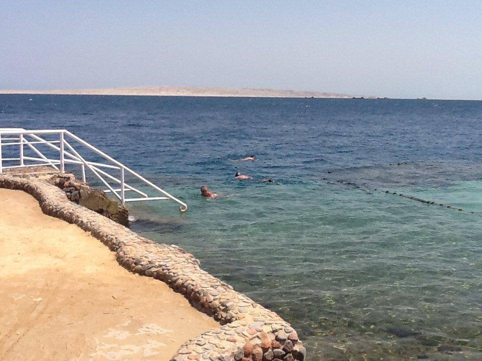 Am Hausriff gibts sogar Rochen Arabella Azur Resort