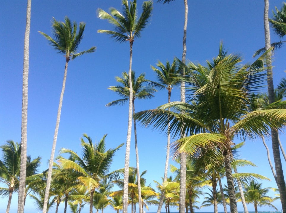 Garten Secrets Royal Beach Punta Cana - Adults only