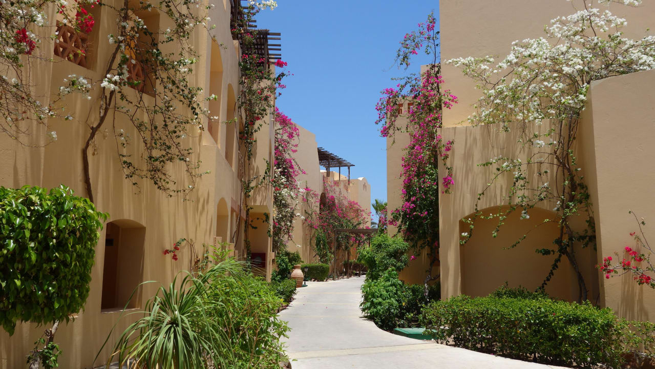 Weg zu unserem Zimmer Steigenberger Coraya Beach - Adults only