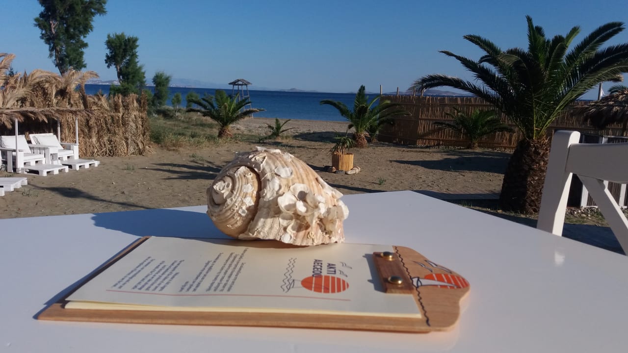 Gastro Apartments Akti Aegeou