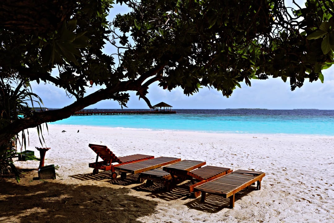 Der Nordstrand am Pool Adaaran Select Meedhupparu Island Resort - Premium All Inclusive