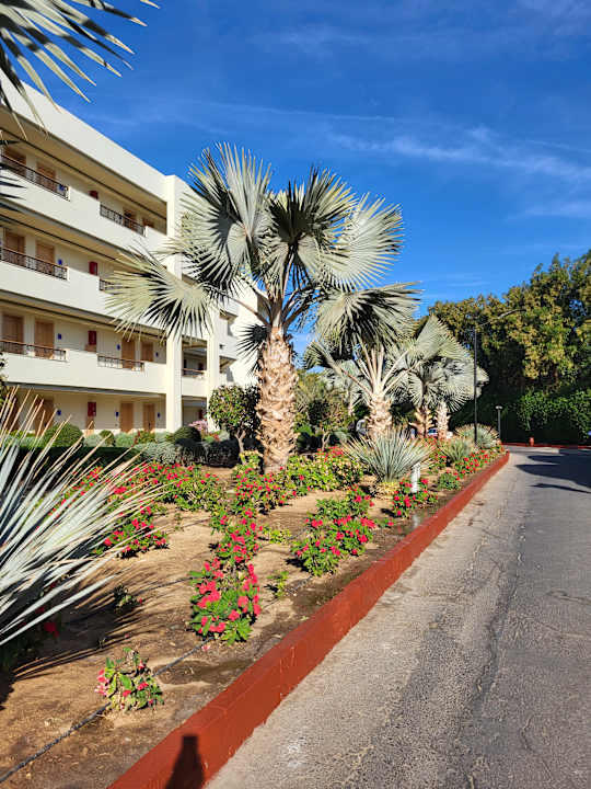 Gartenanlage Pickalbatros Dana Beach Resort - Hurghada