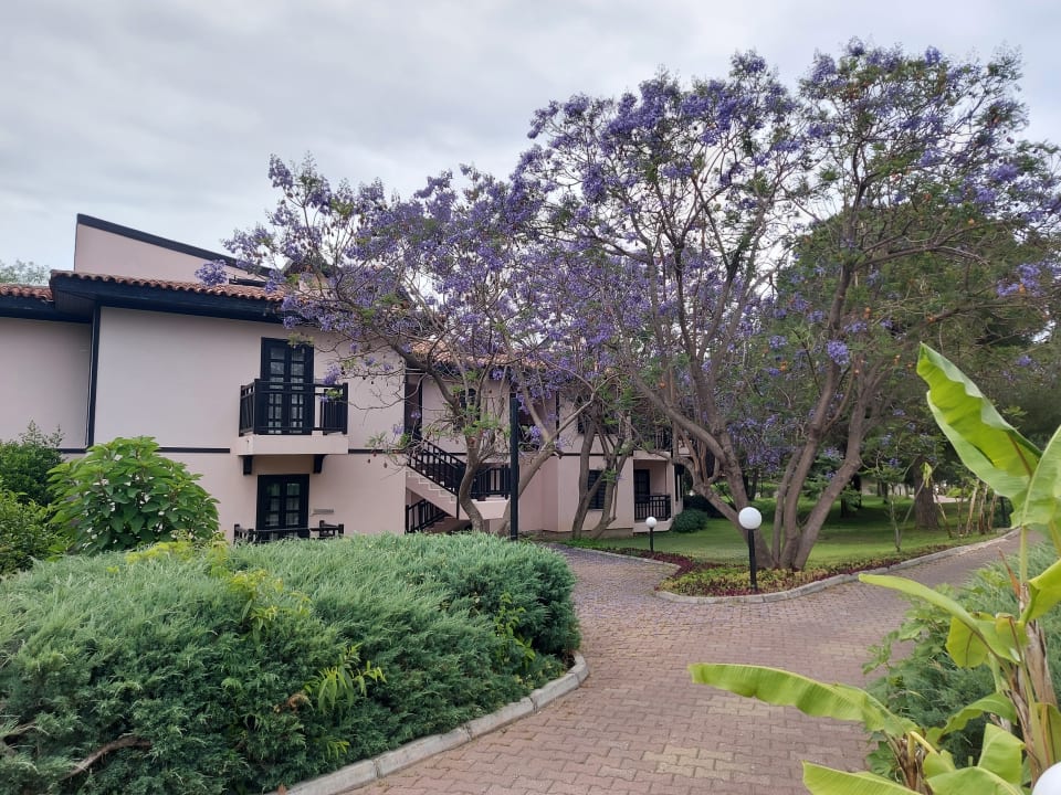 Gartenanlage Sunrise Resort Hotel