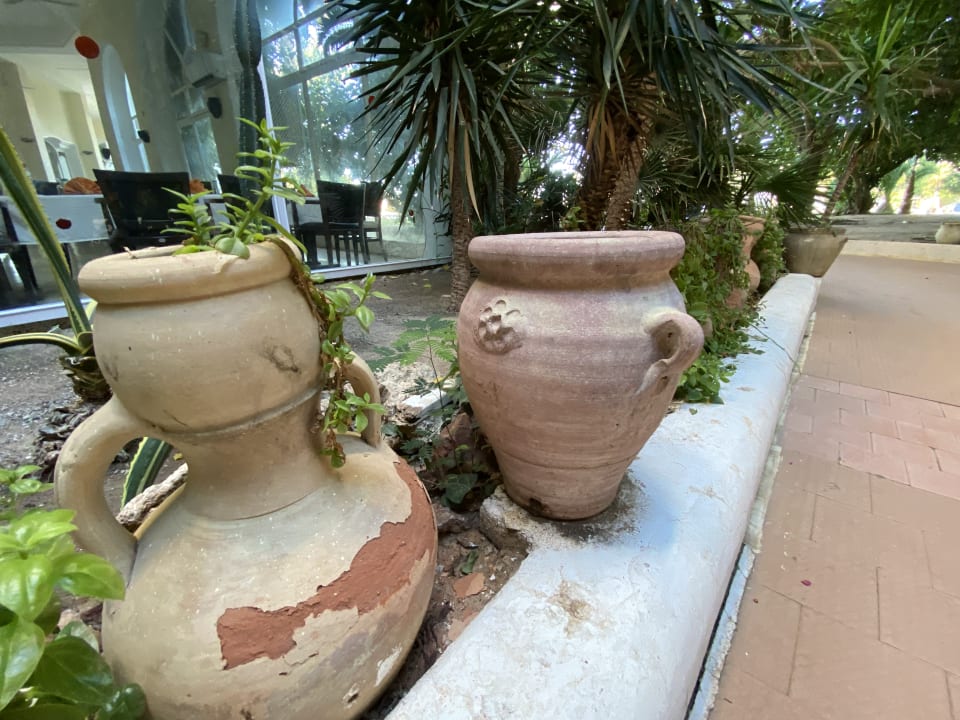 Gartenanlage Mahdia Beach & Aquapark