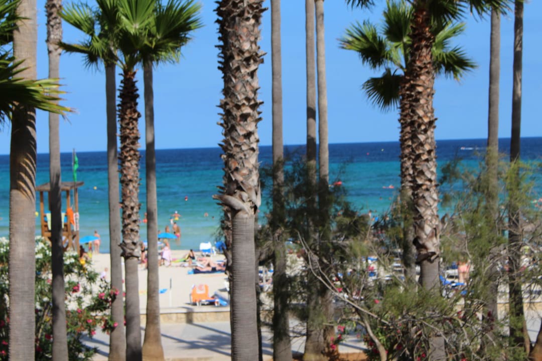 Vom Schlafzimmer Hipotels Mediterraneo Club