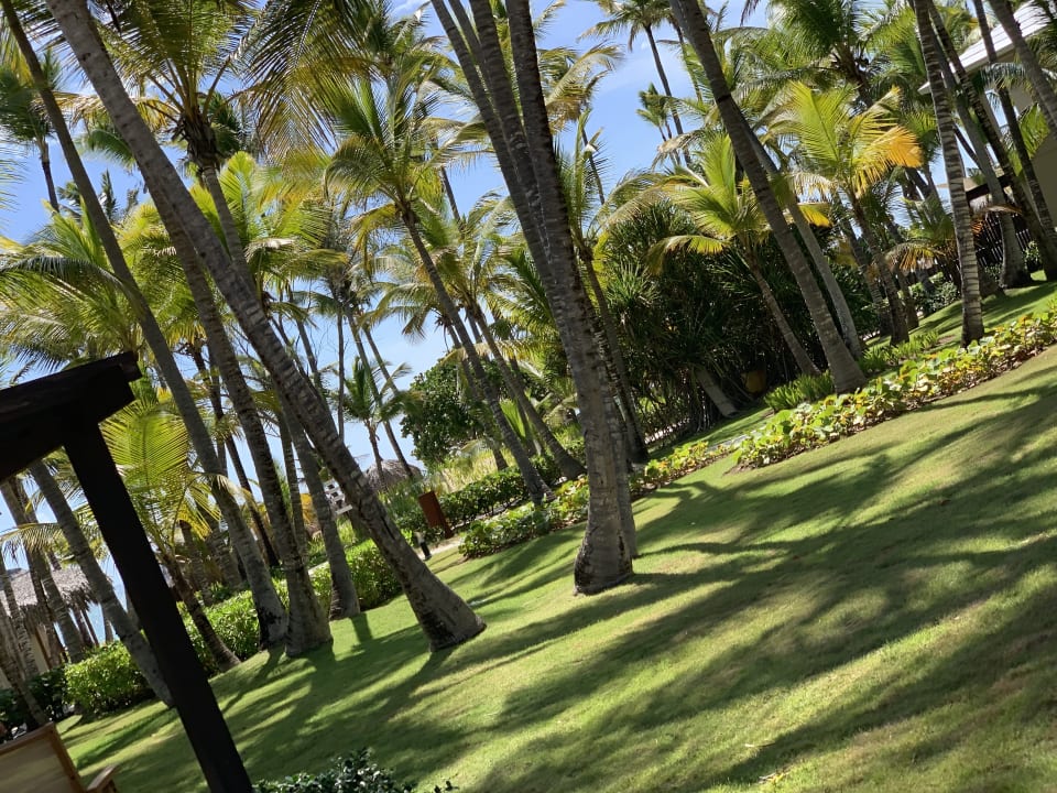 Gartenanlage Hotel Grand Palladium Palace Resort, Spa & Casino