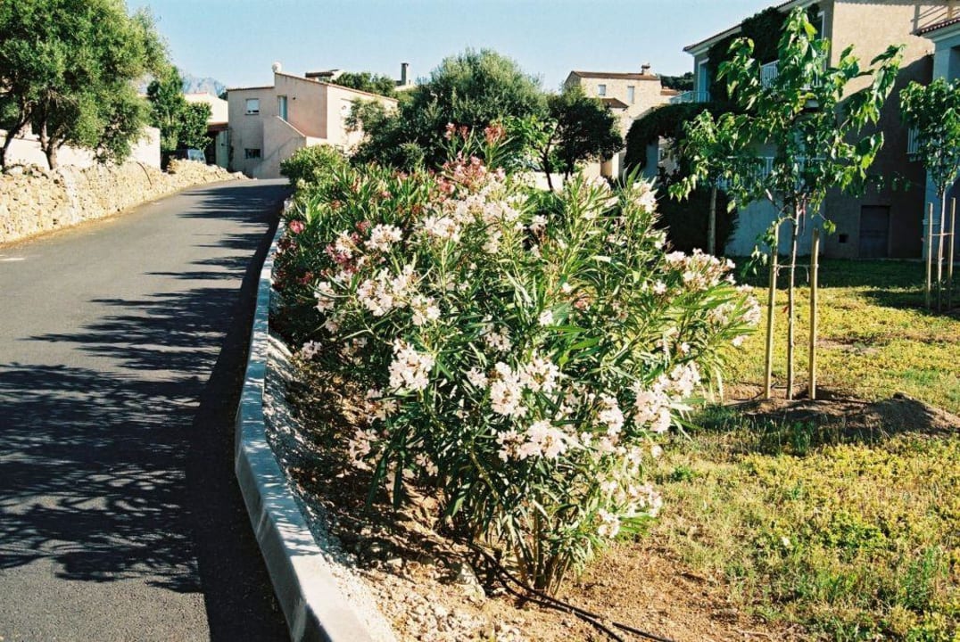 Weg zum Hotel Hotel Maristella