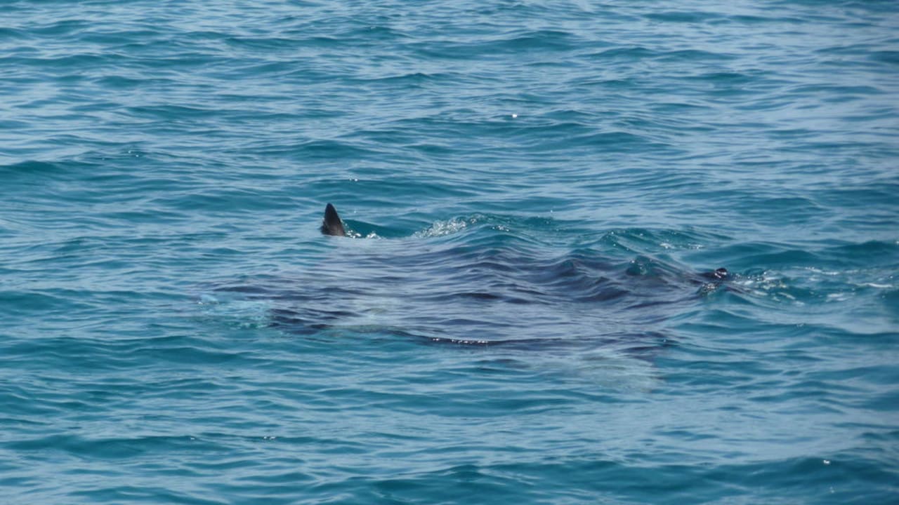 Mantas NH Collection Maldives Reethi Resort