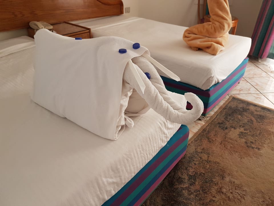 Zimmer Seagull Beach Resort