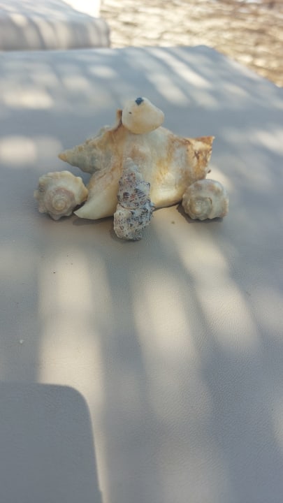 Strand Golden Beach Resort