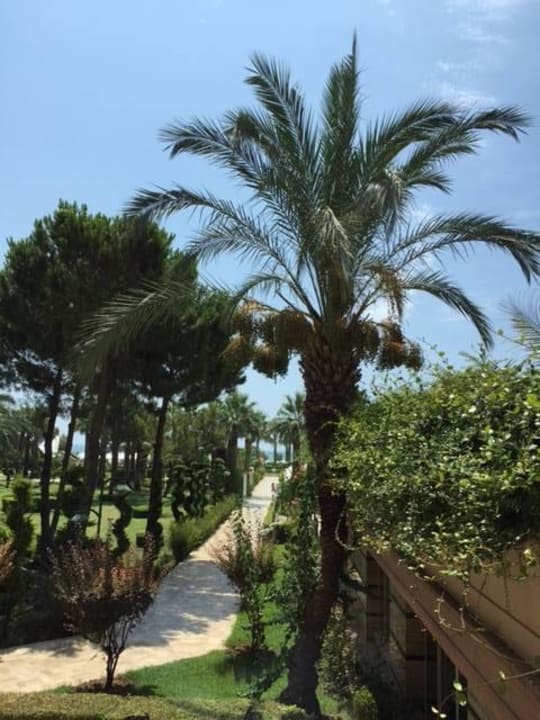 Weg zum Strand Crystal Tat Beach