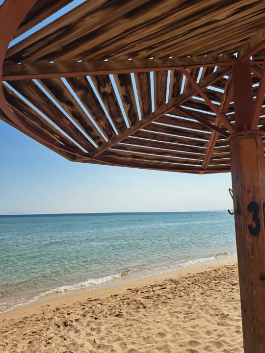 Strand Shams Prestige Abu Soma-Adults Only