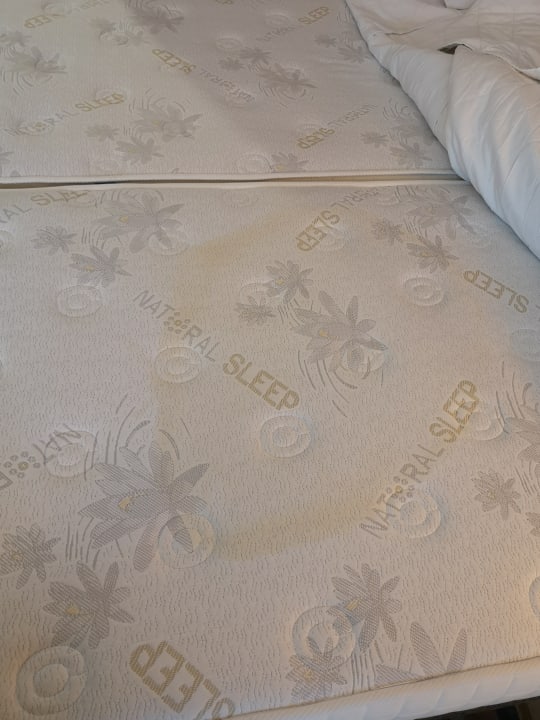 Zimmer Hotel Pine Bay Holiday Resort