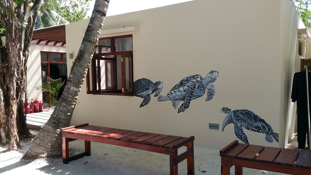 Tauchbasis  Summer Island Maldives