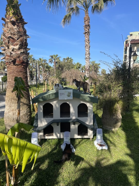 Gartenanlage Bella Resort & Spa