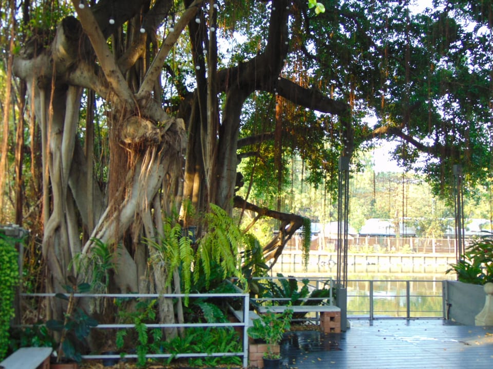 Gartenanlage Canalis Suvarnabhumi Airport Hotel