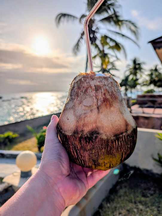 Gartenanlage Mandarin Resort Zanzibar