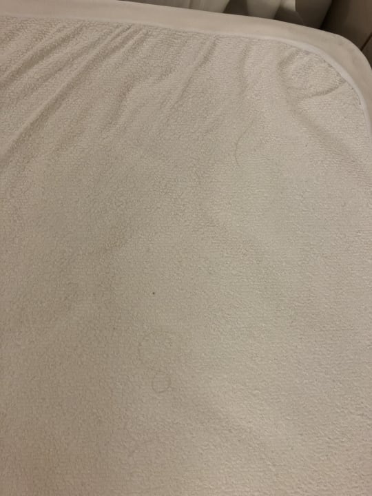 Zimmer Hotel Best Siroco