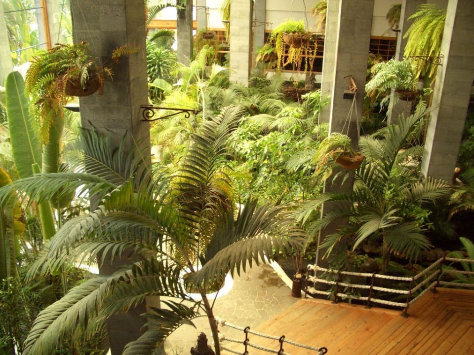 Tropischer Garten im Zentralbereich Princesa Yaiza Suite Hotel Resort