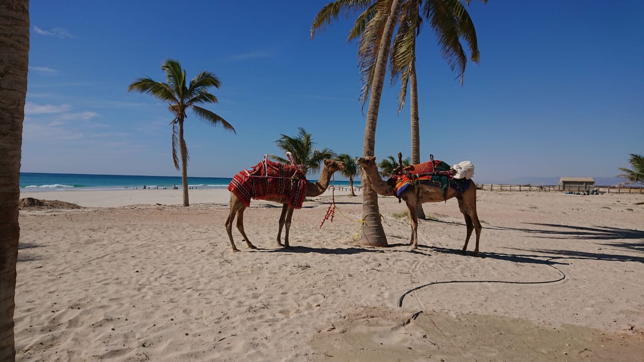 Strand Salalah Rotana Resort