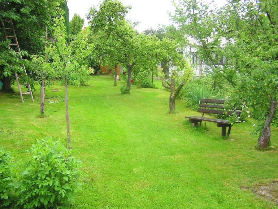 Zahrada Chata Krásetín