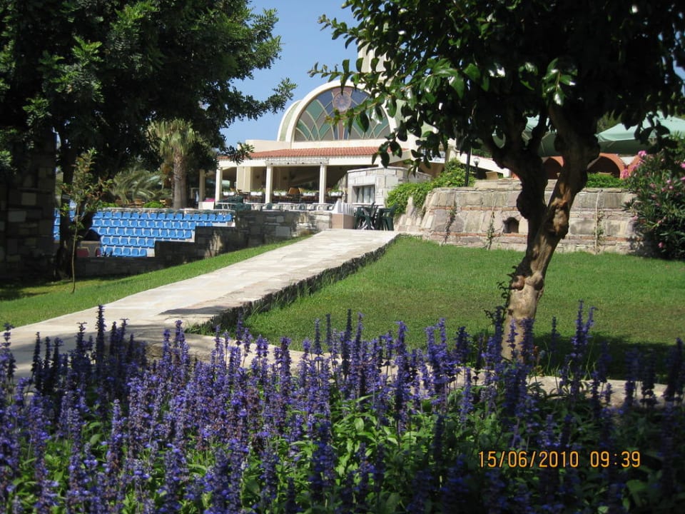 Blick auf eines der vier Restaurants Arum Barut Collection