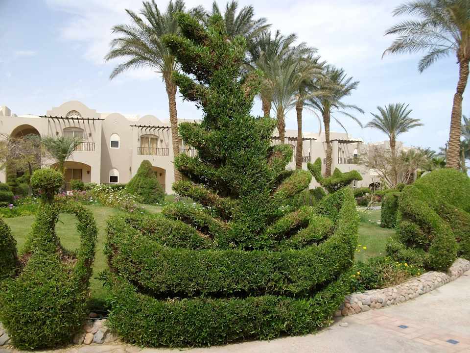 Eine Augenweide Jaz Makadi Oasis Resort