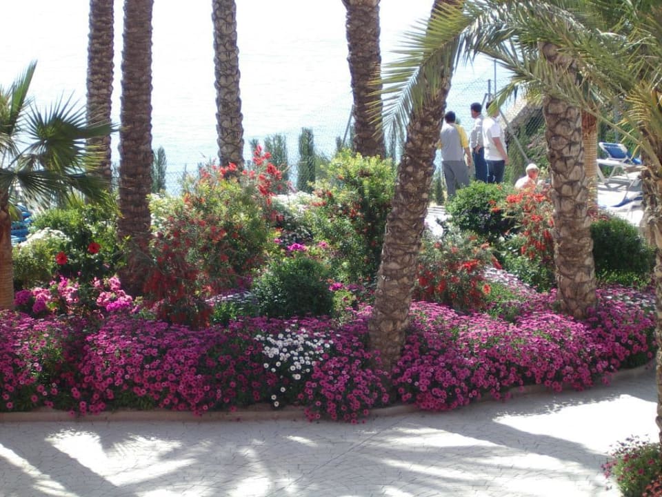 Gartenanlage Hotel Playacálida Playacálida Hotel