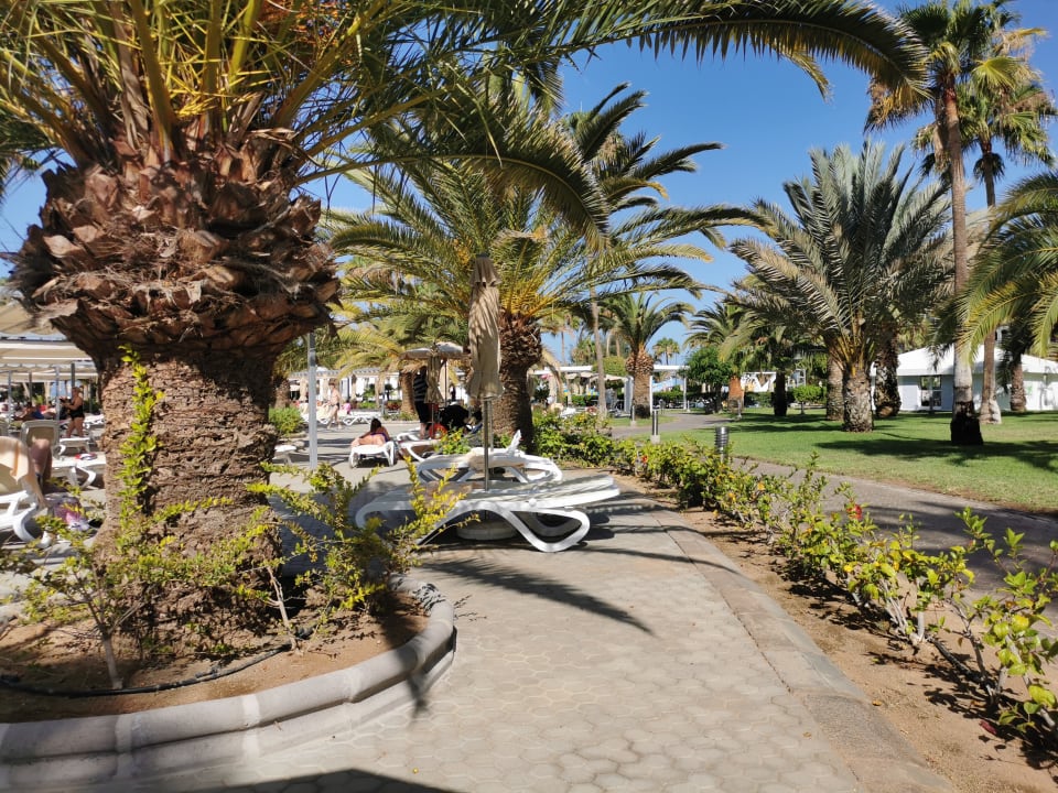 Gartenanlage Hotel Riu Gran Canaria
