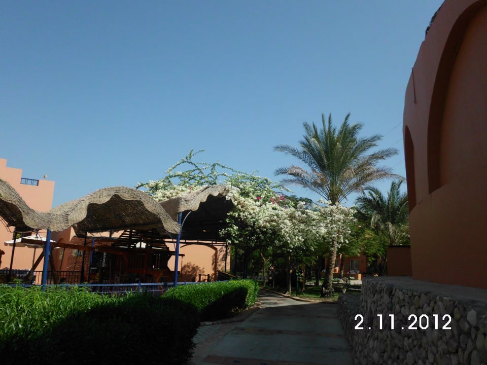 Am Theater Jaz Makadi Oasis Resort