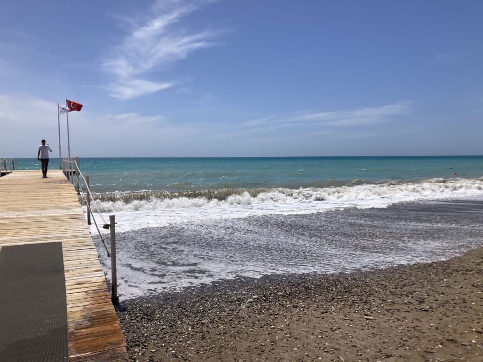 Strand Crystal Family Comfort Collection