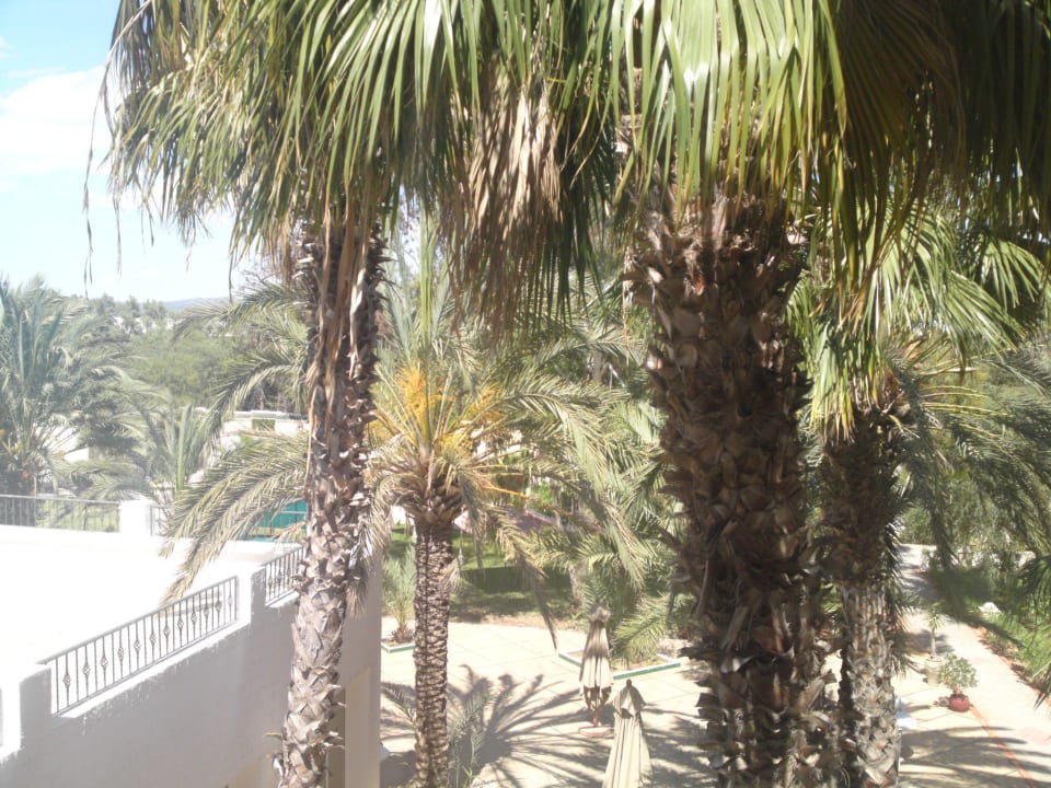 Vom Balkon Hotel Nesrine