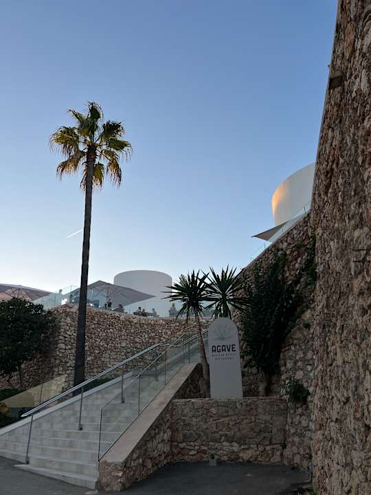 Gastro Iberostar Waves Cala Domingos