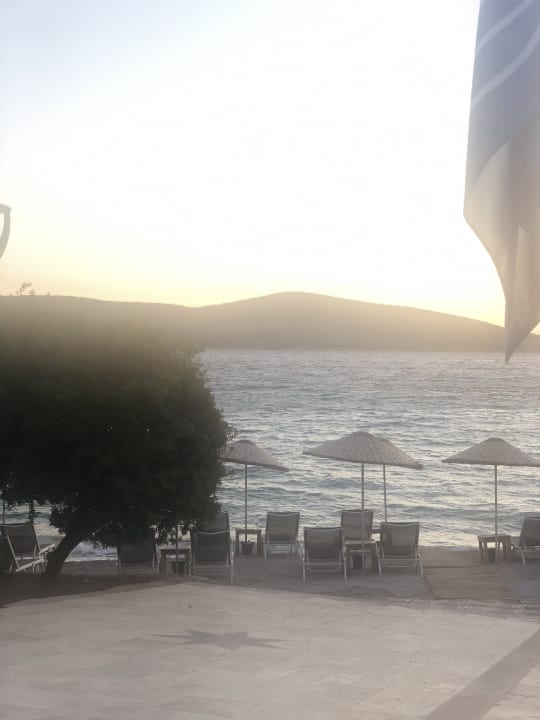Ausblick TUI MAGIC LIFE Bodrum - Adult Only (16+)