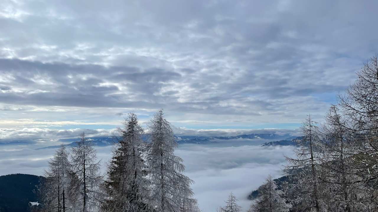 Sonstiges ROBINSON LANDSKRON