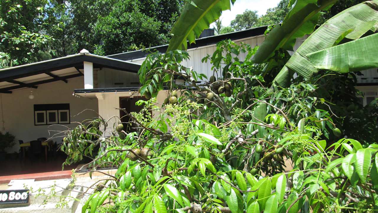 Garden view Travel Lodge Lake View Tourist Resort