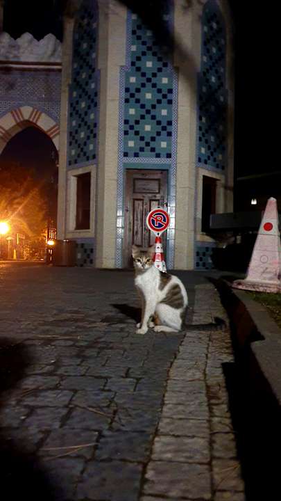 Gartenanlage Ali Bey Club