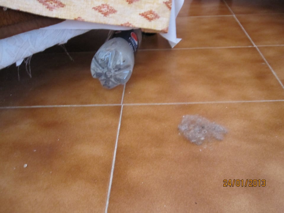 Wollmäuse und Flaschen unter dem Bett Bei Juan Playa Blanca