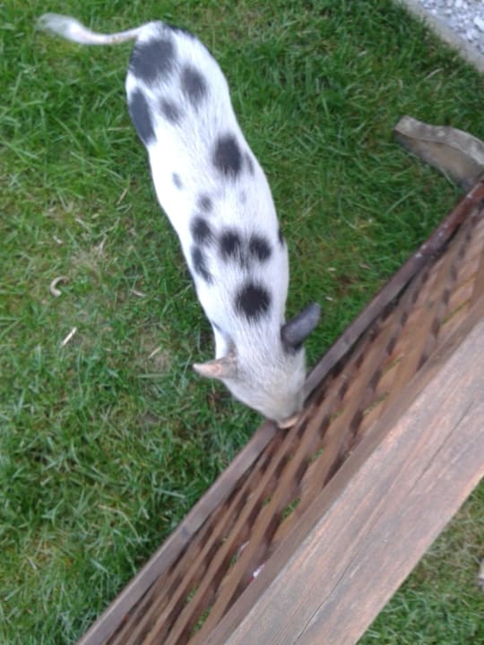 Brunhilde Hotel Klosterbräu & SPA