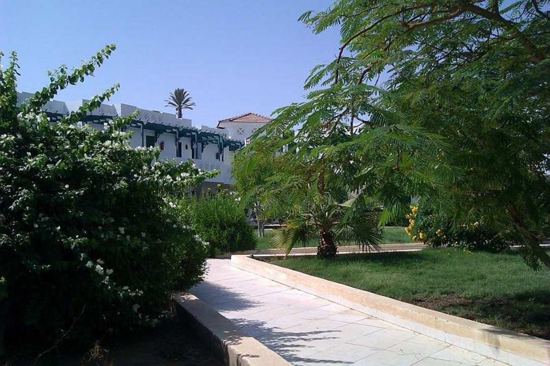 Ogród na tyłach hotelu Hotel Amarante Garden Palms Resort