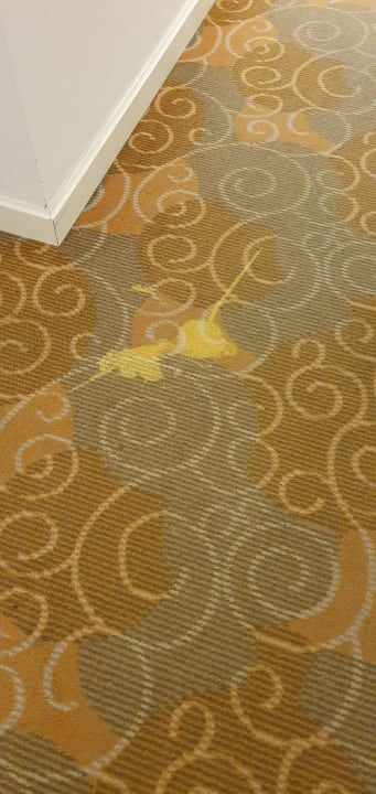 Zimmer Well Palace Side