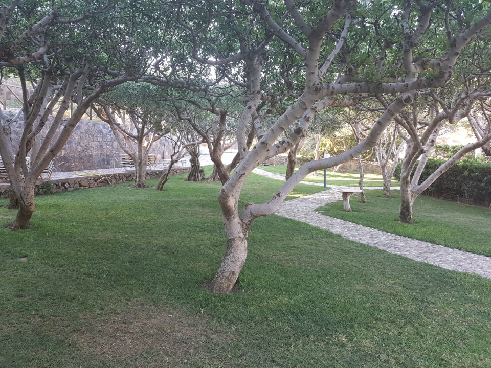 Gartenanlage Paralos Irini Mare