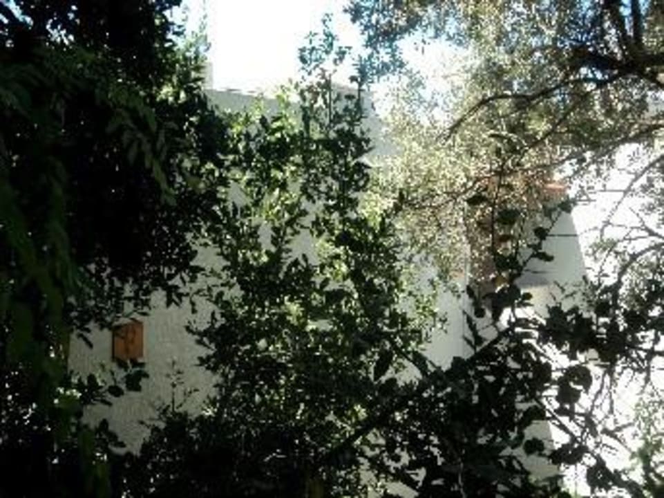 Hotel Bitez Garden Life Bitez Garden Life