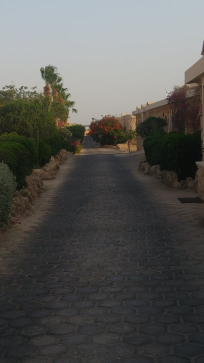 Gartenanlage Pickalbatros Citadel Resort